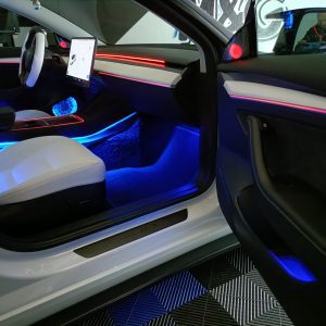 Iluminacion interior tesla vista desde la puerta del compañero.